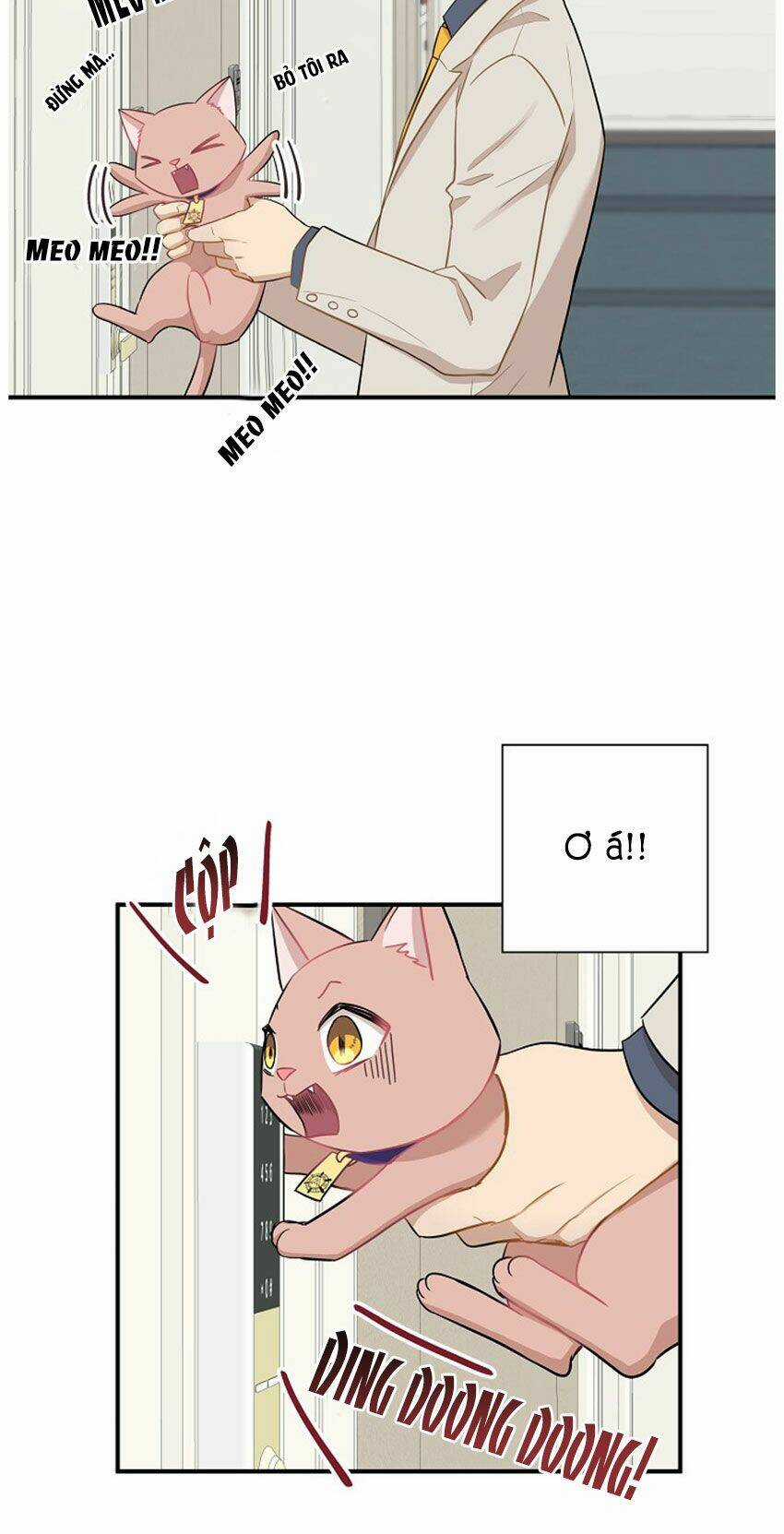 Cuộc Sống Kỳ Thú - Chapter 21 - Trang 27