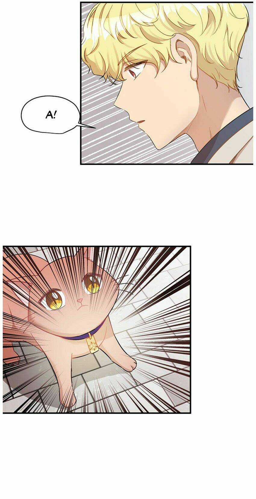 Cuộc Sống Kỳ Thú - Chapter 21 - Trang 5