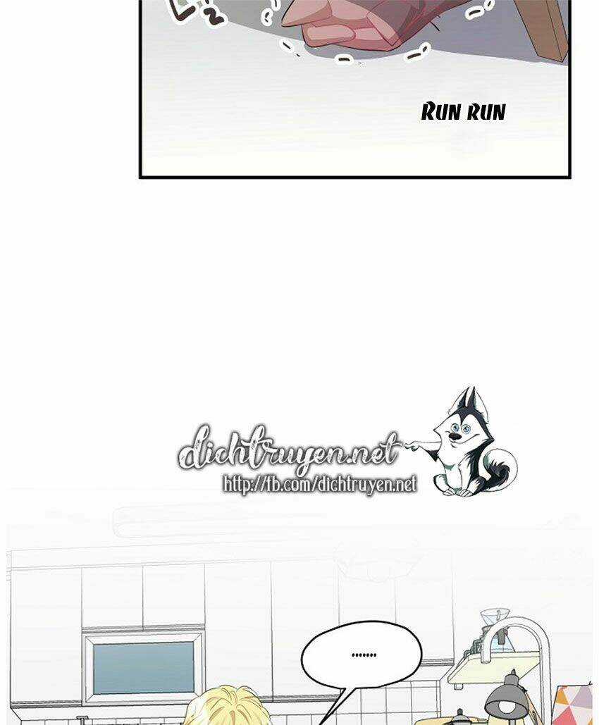 Cuộc Sống Kỳ Thú - Chapter 21 - Trang 41