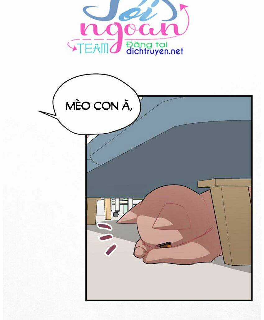 Cuộc Sống Kỳ Thú - Chapter 21 - Trang 44