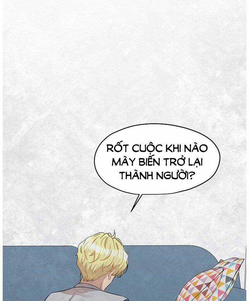 Cuộc Sống Kỳ Thú - Chapter 21 - Trang 45