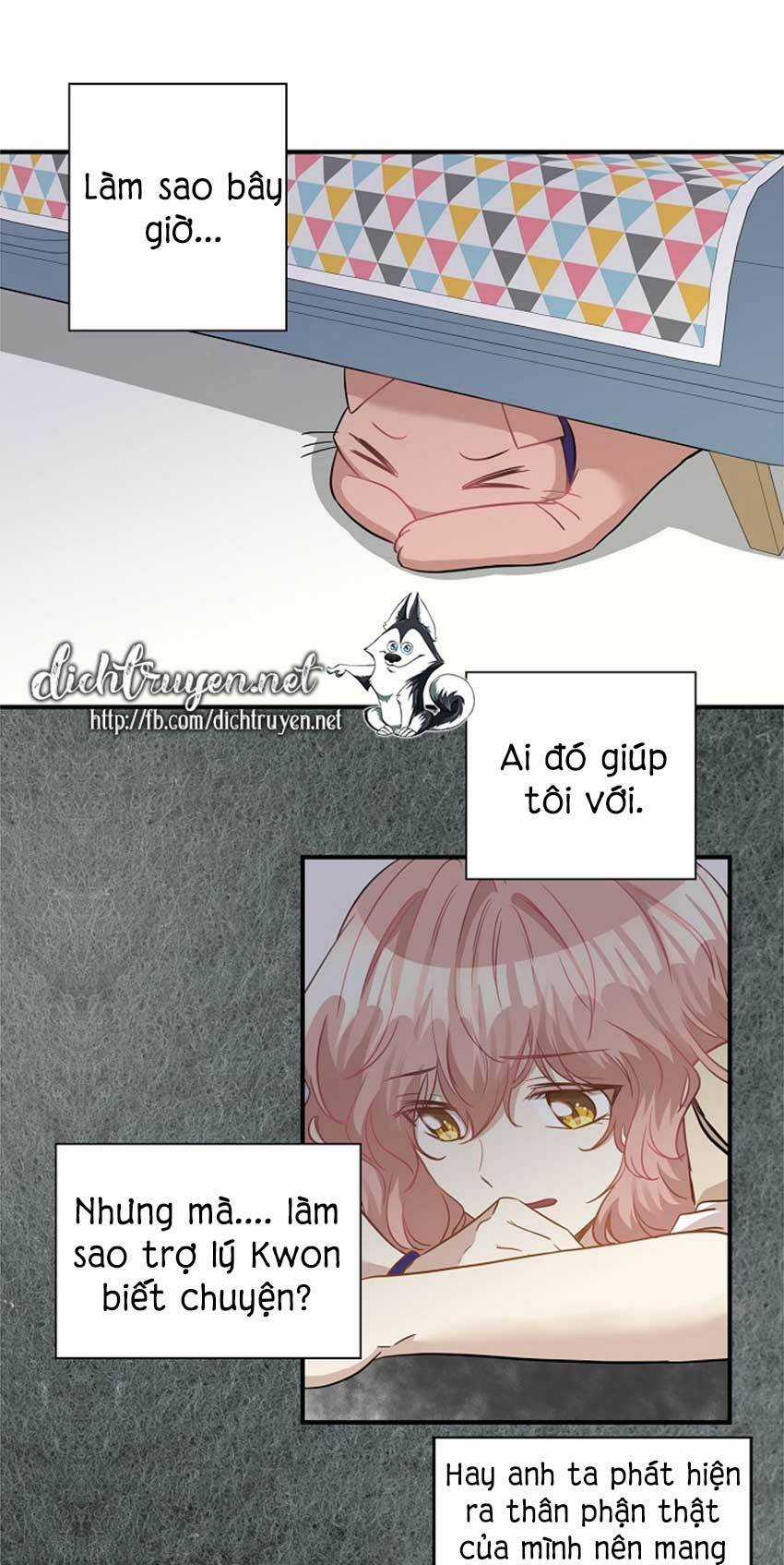 Cuộc Sống Kỳ Thú - Chapter 22 - Trang 1