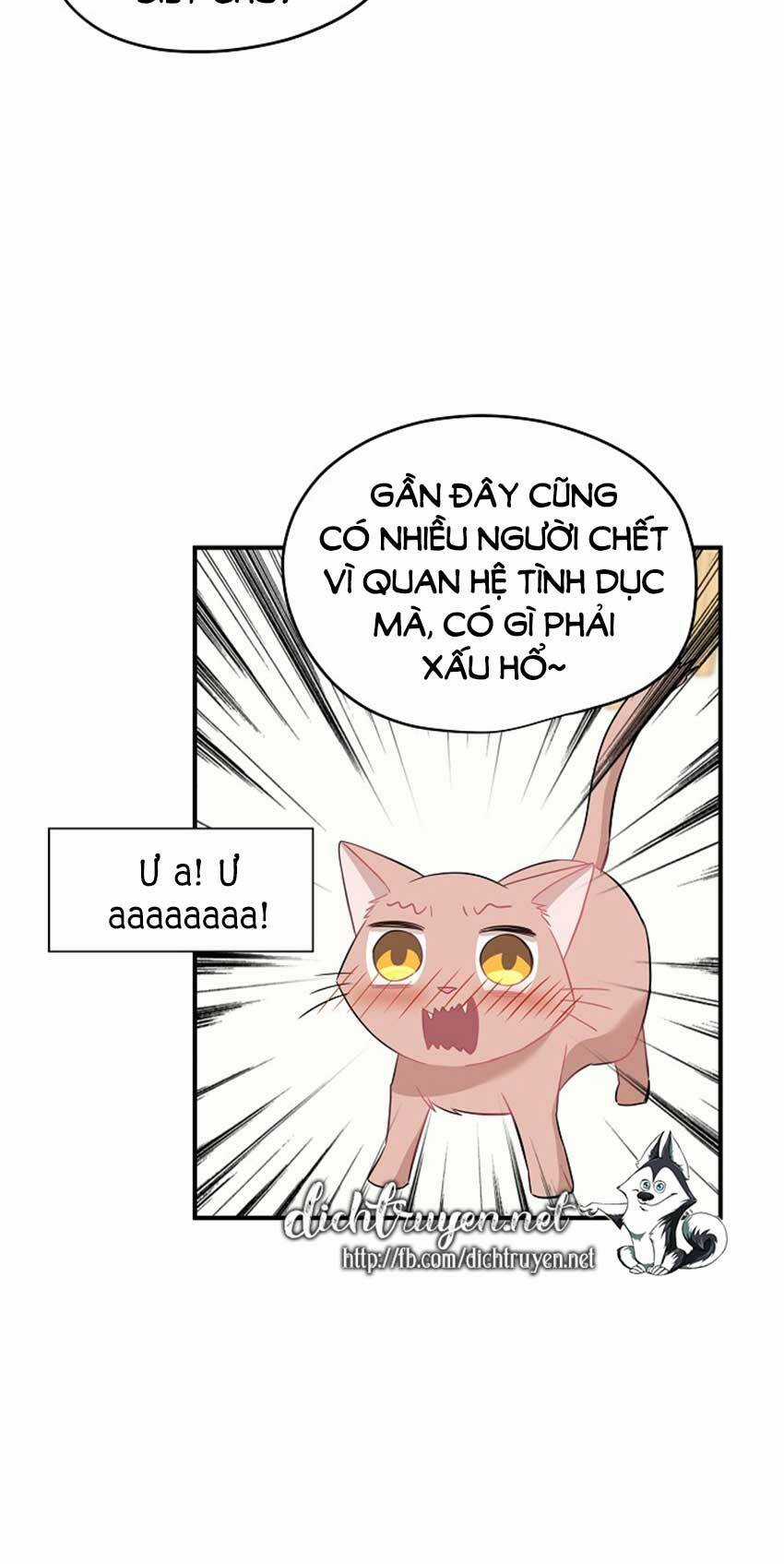 Cuộc Sống Kỳ Thú - Chapter 22 - Trang 11