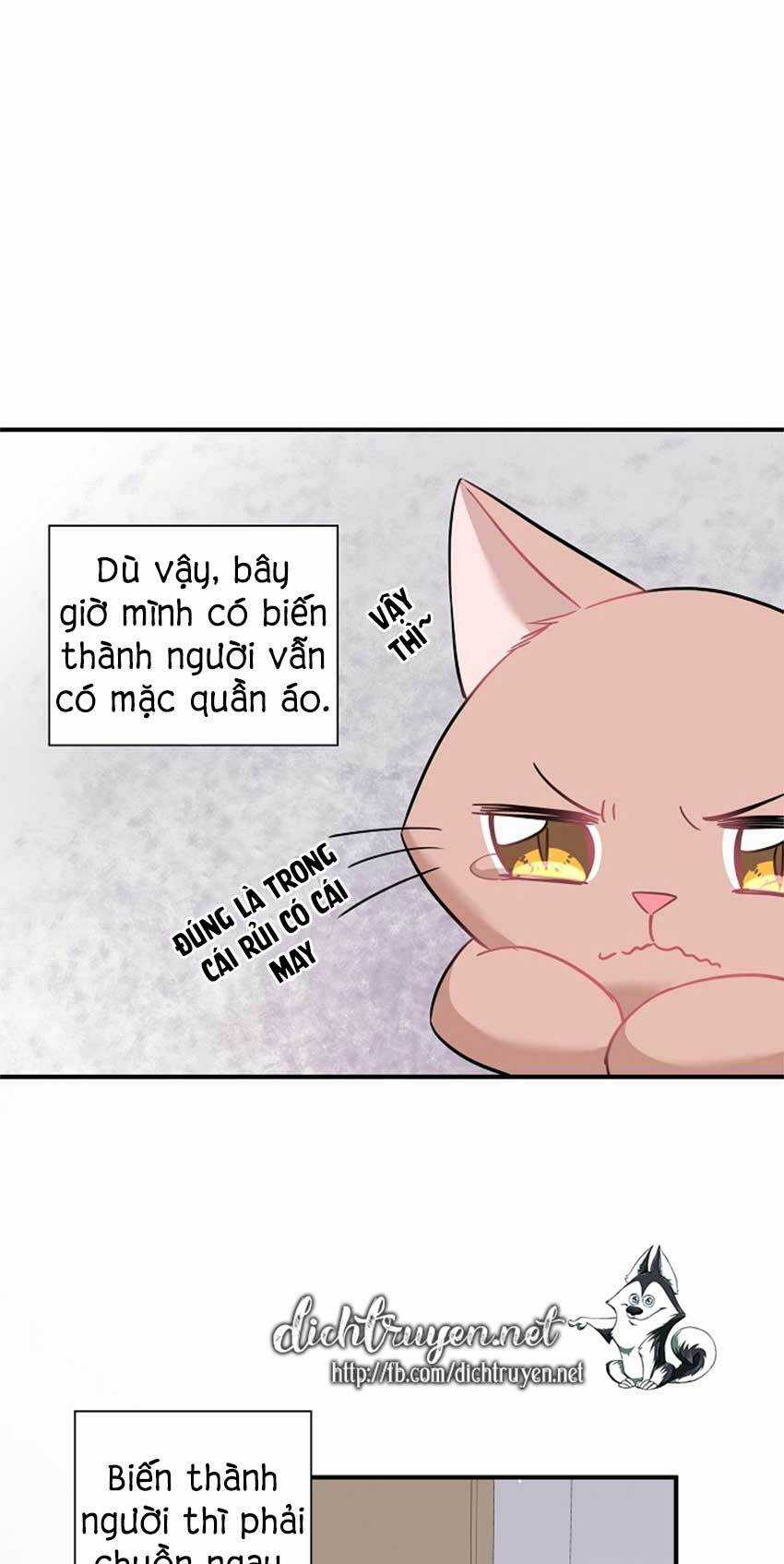 Cuộc Sống Kỳ Thú - Chapter 22 - Trang 16