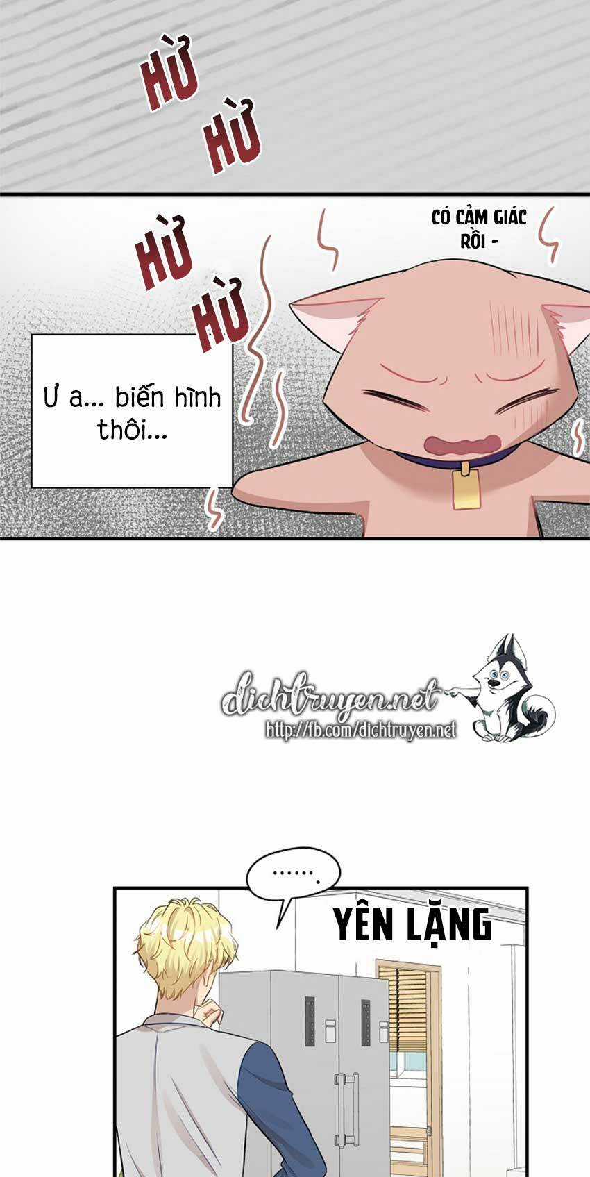 Cuộc Sống Kỳ Thú - Chapter 22 - Trang 18