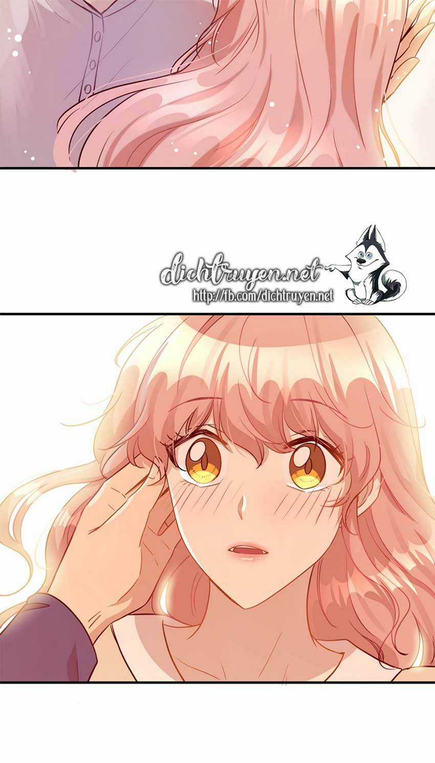 Cuộc Sống Kỳ Thú - Chapter 23 - Trang 21