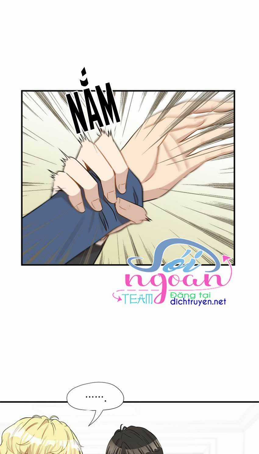 Cuộc Sống Kỳ Thú - Chapter 23 - Trang 22