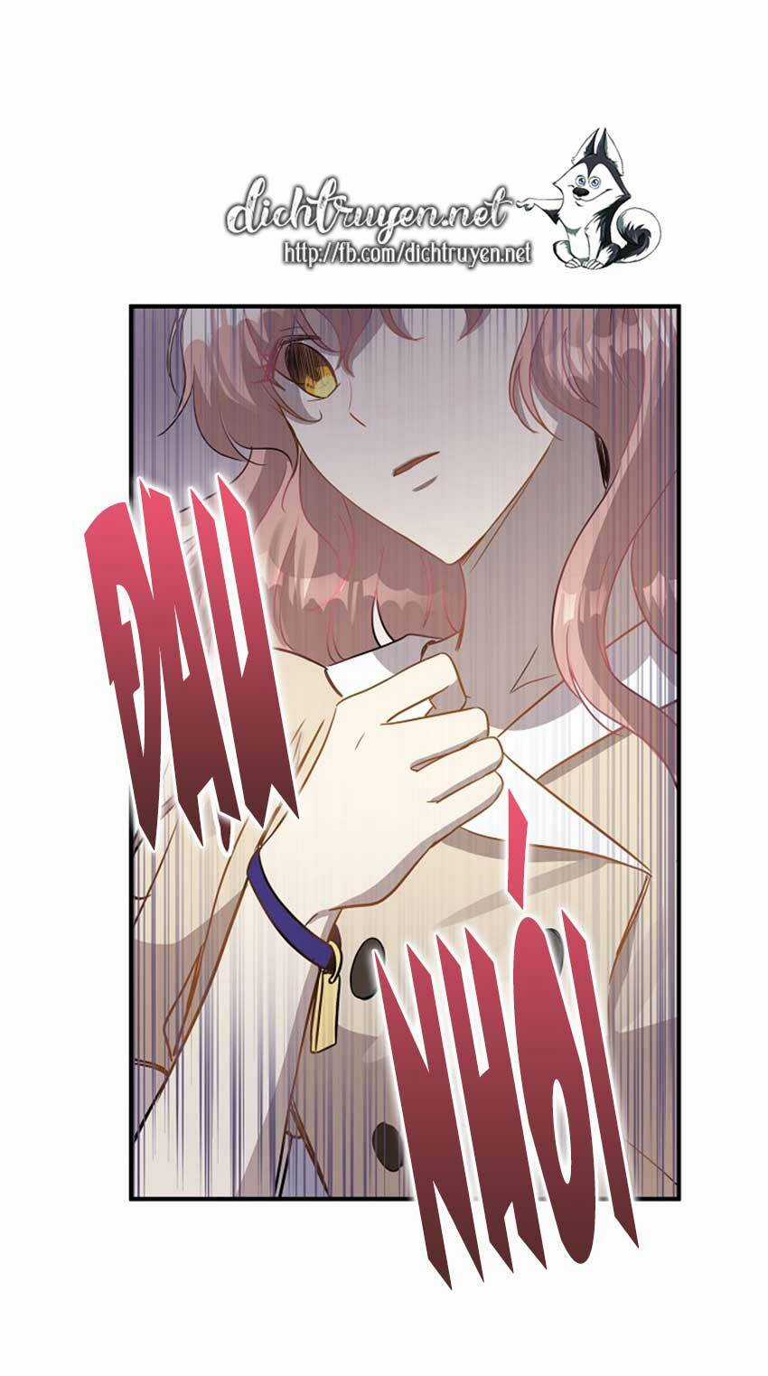 Cuộc Sống Kỳ Thú - Chapter 23 - Trang 27
