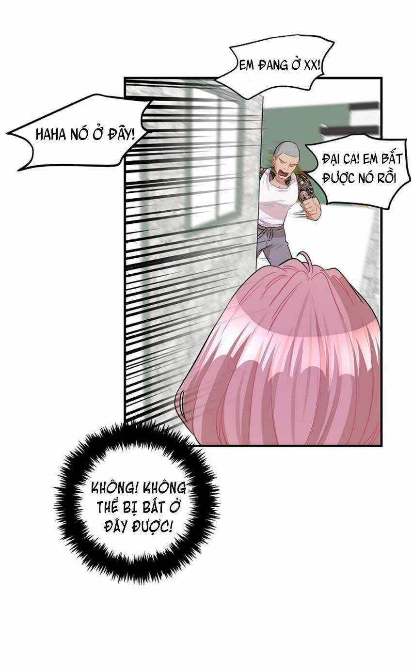 Cuộc Sống Kỳ Thú - Chapter 25 - Trang 51