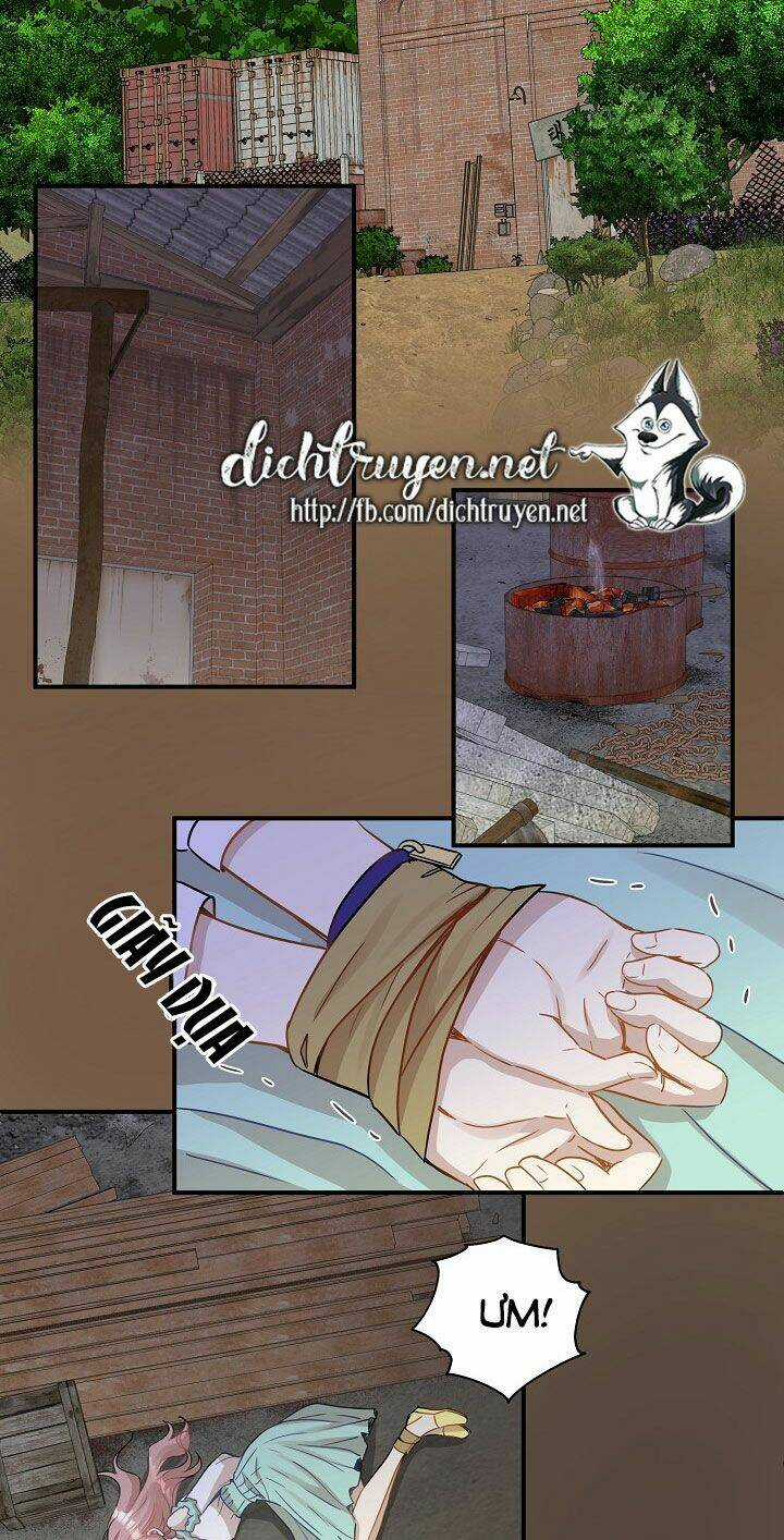Cuộc Sống Kỳ Thú - Chapter 26 - Trang 12