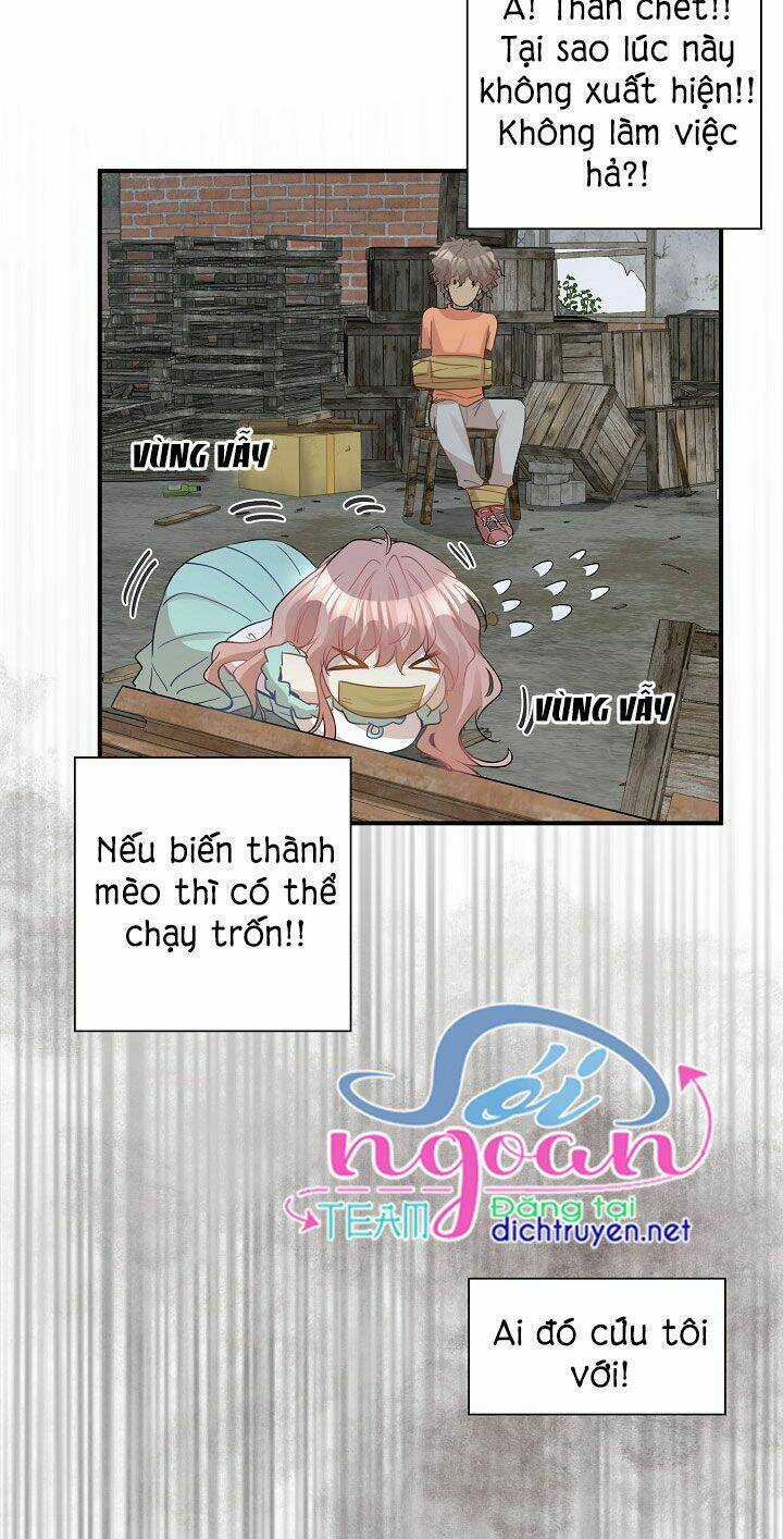 Cuộc Sống Kỳ Thú - Chapter 26 - Trang 19