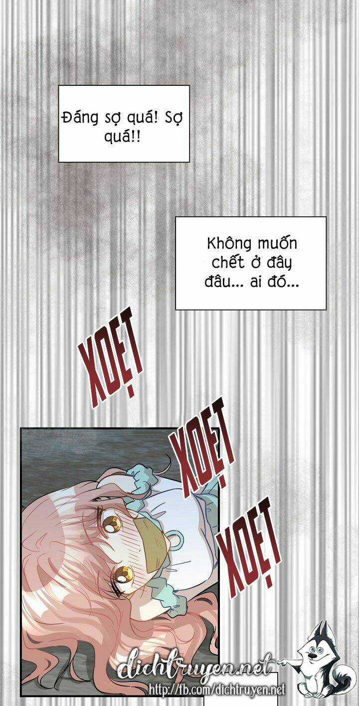 Cuộc Sống Kỳ Thú - Chapter 26 - Trang 20