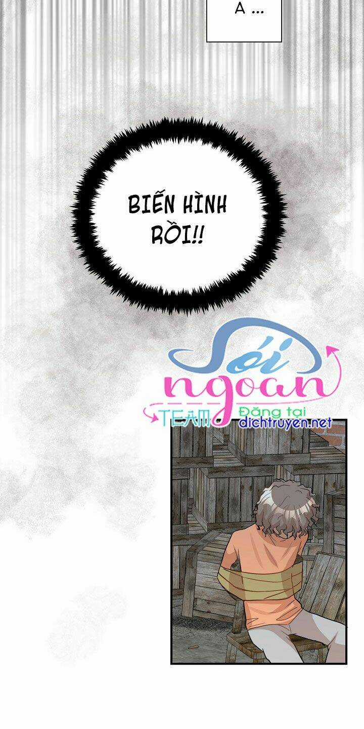 Cuộc Sống Kỳ Thú - Chapter 26 - Trang 21