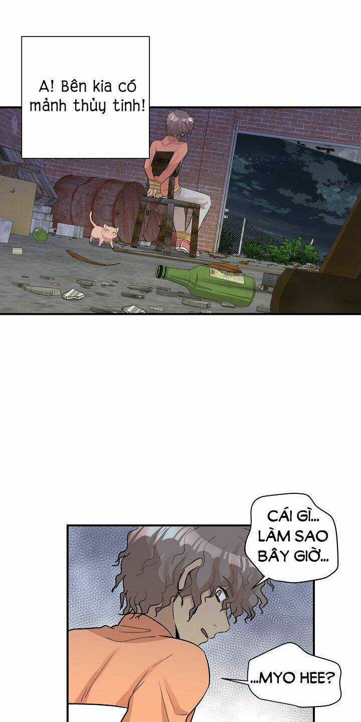 Cuộc Sống Kỳ Thú - Chapter 26 - Trang 25
