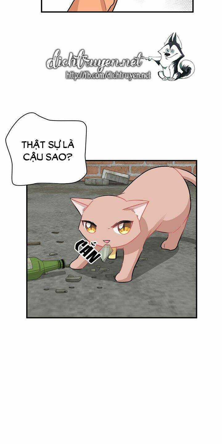 Cuộc Sống Kỳ Thú - Chapter 26 - Trang 26