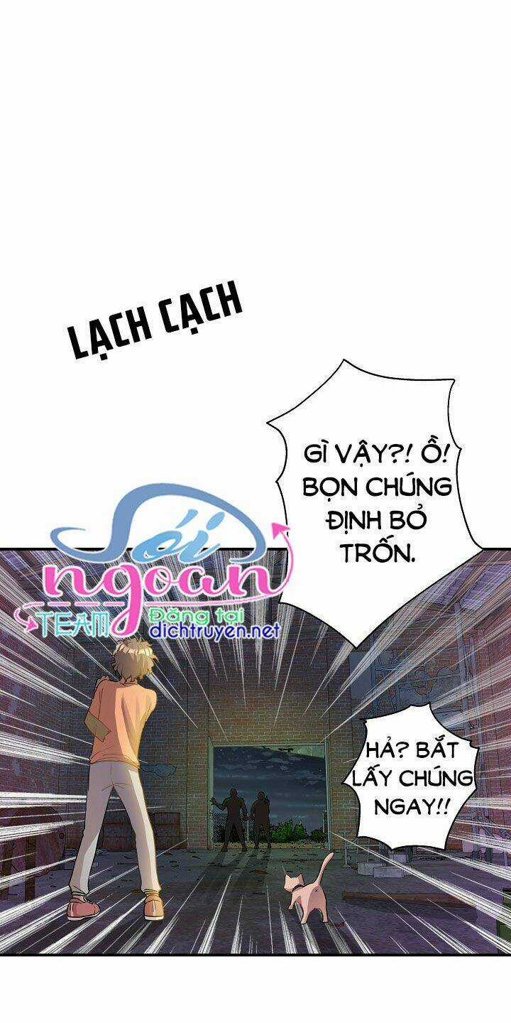 Cuộc Sống Kỳ Thú - Chapter 26 - Trang 27