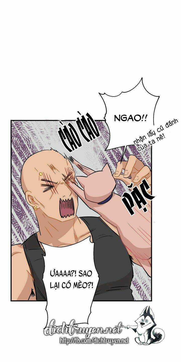 Cuộc Sống Kỳ Thú - Chapter 26 - Trang 28