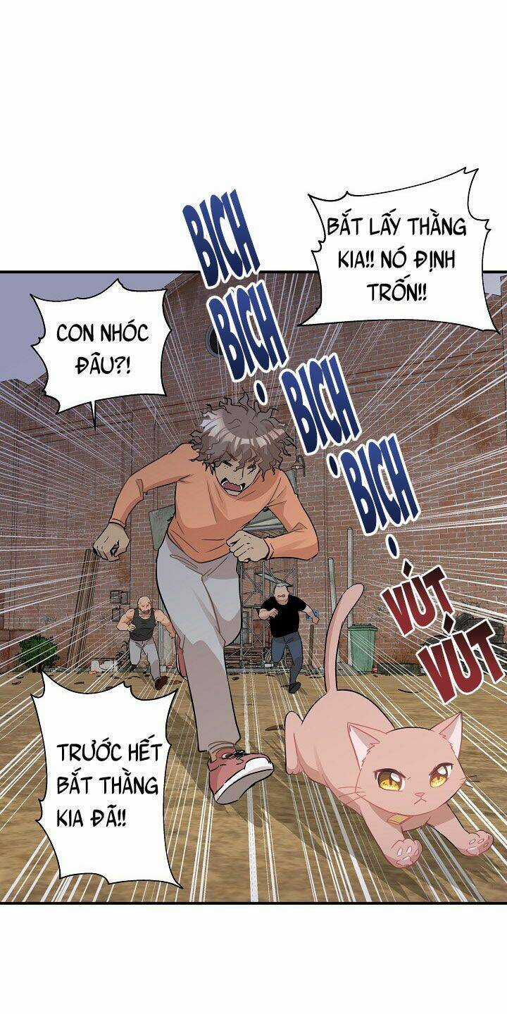 Cuộc Sống Kỳ Thú - Chapter 26 - Trang 29