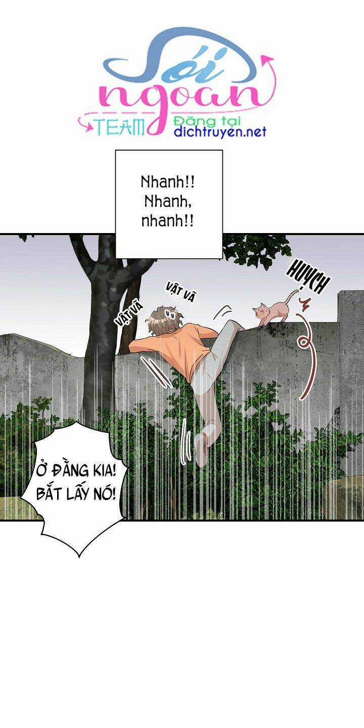 Cuộc Sống Kỳ Thú - Chapter 26 - Trang 30