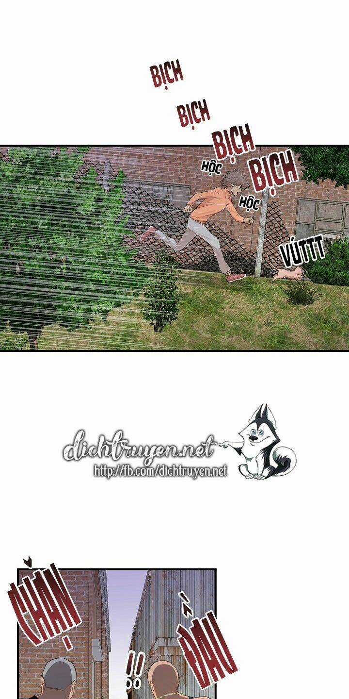 Cuộc Sống Kỳ Thú - Chapter 26 - Trang 31