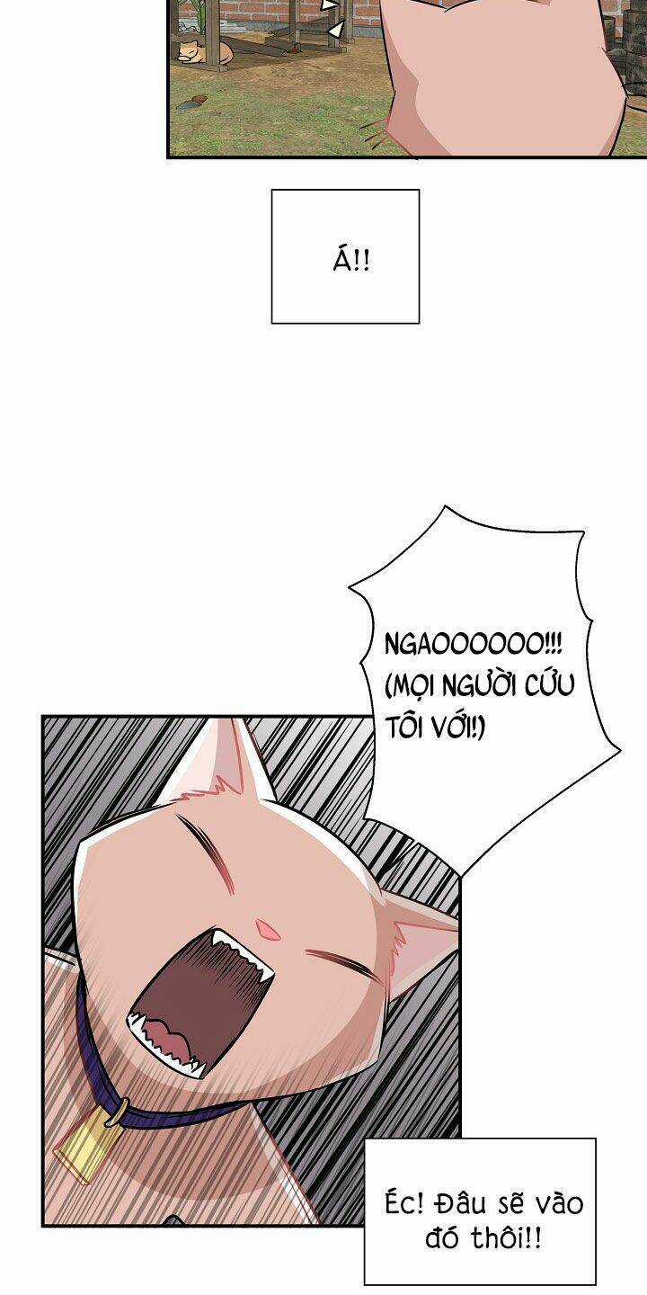 Cuộc Sống Kỳ Thú - Chapter 26 - Trang 34