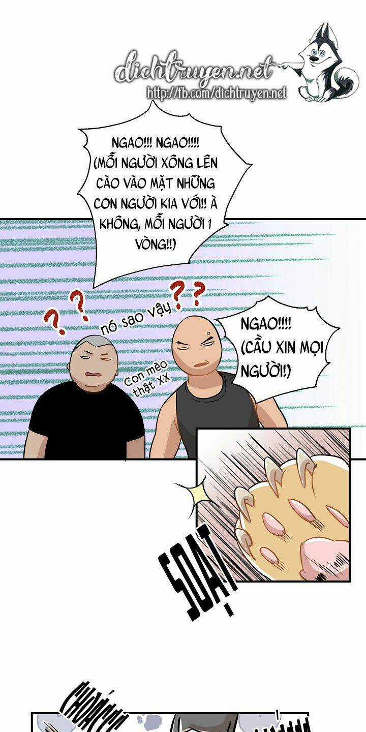 Cuộc Sống Kỳ Thú - Chapter 26 - Trang 35
