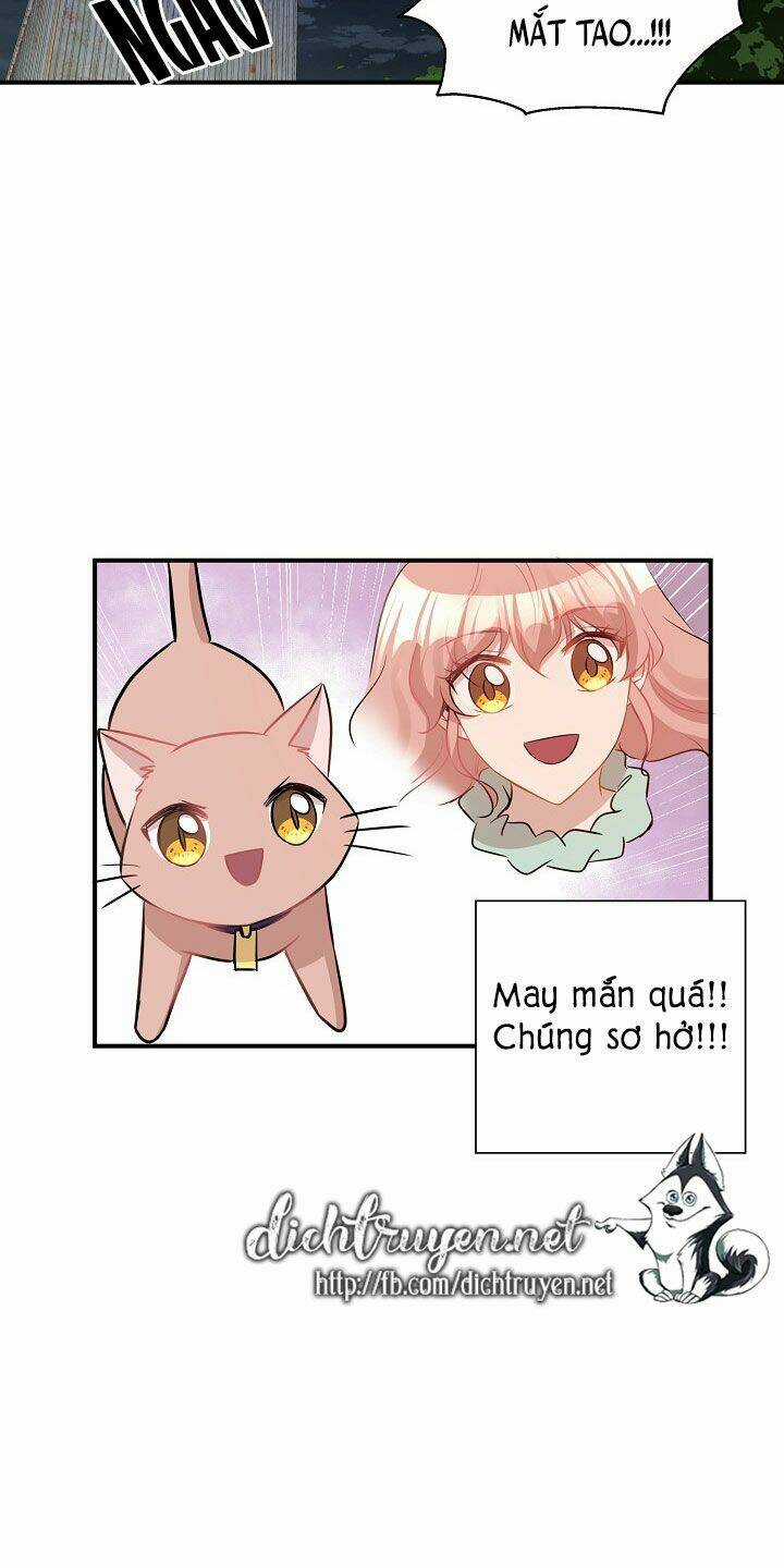 Cuộc Sống Kỳ Thú - Chapter 26 - Trang 37