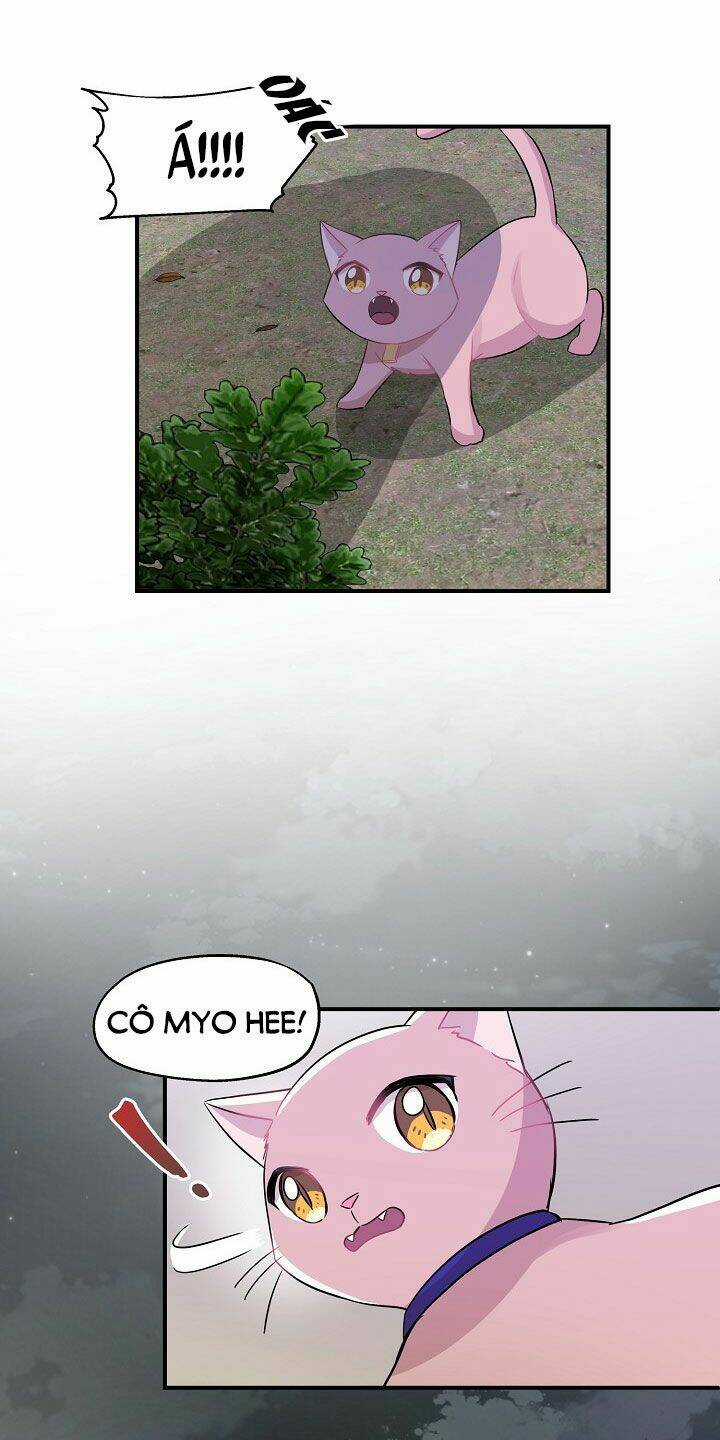 Cuộc Sống Kỳ Thú - Chapter 26 - Trang 40