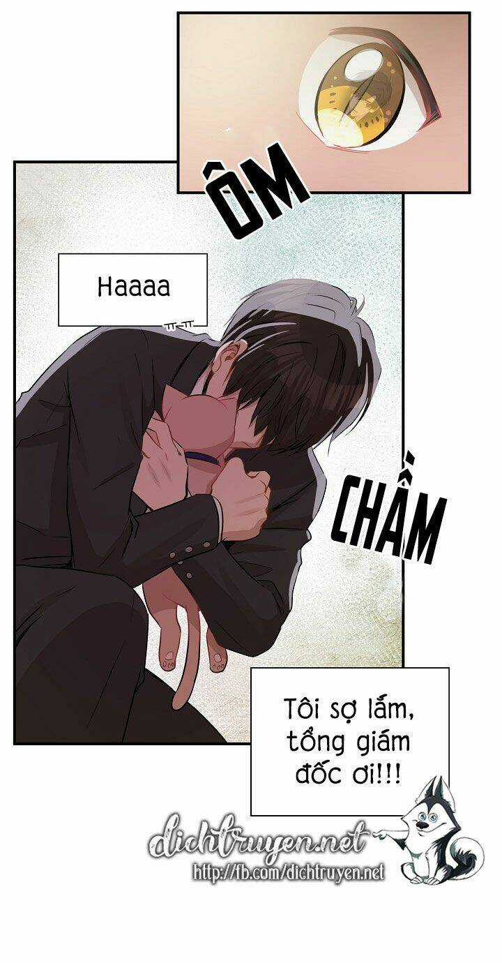 Cuộc Sống Kỳ Thú - Chapter 26 - Trang 42