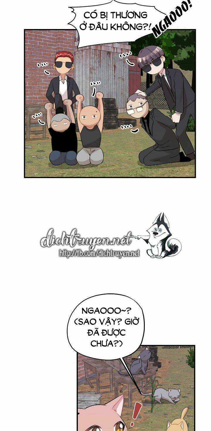 Cuộc Sống Kỳ Thú - Chapter 26 - Trang 45