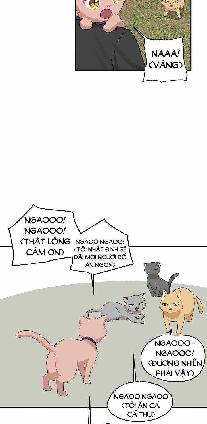 Cuộc Sống Kỳ Thú - Chapter 26 - Trang 46