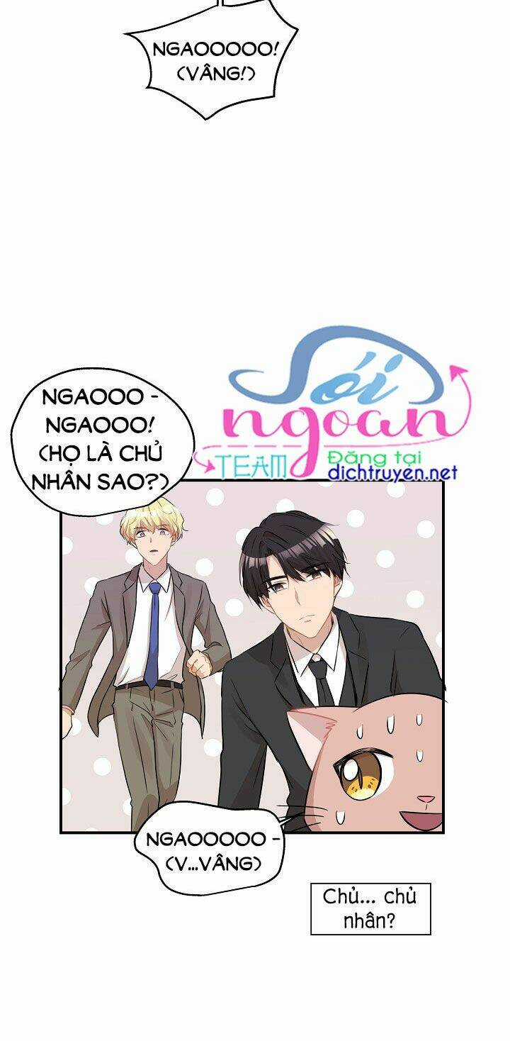 Cuộc Sống Kỳ Thú - Chapter 26 - Trang 47