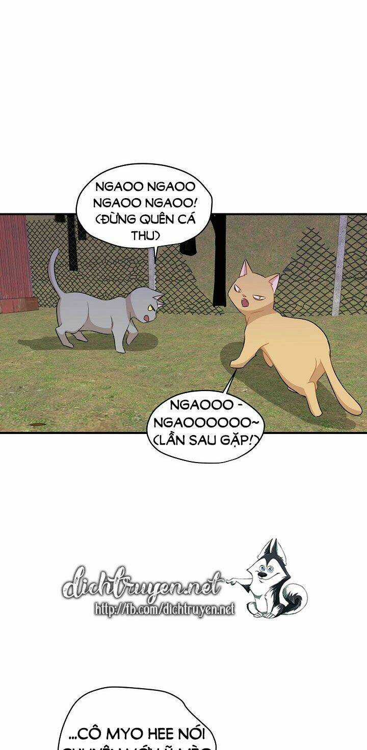 Cuộc Sống Kỳ Thú - Chapter 26 - Trang 48