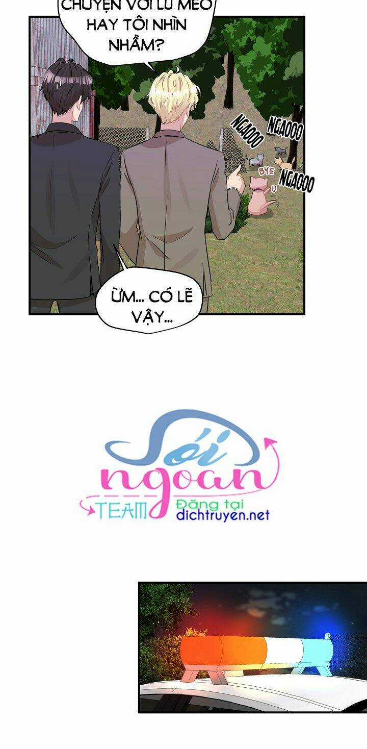 Cuộc Sống Kỳ Thú - Chapter 26 - Trang 49