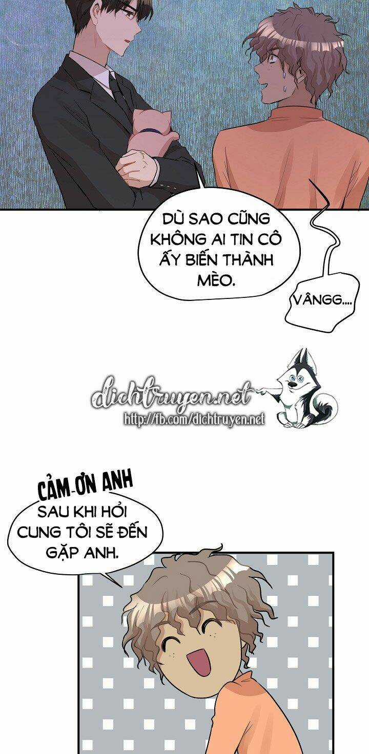 Cuộc Sống Kỳ Thú - Chapter 26 - Trang 52