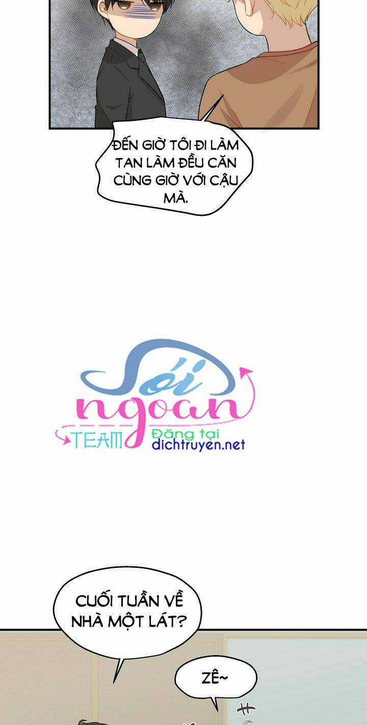 Cuộc Sống Kỳ Thú - Chapter 27 - Trang 11