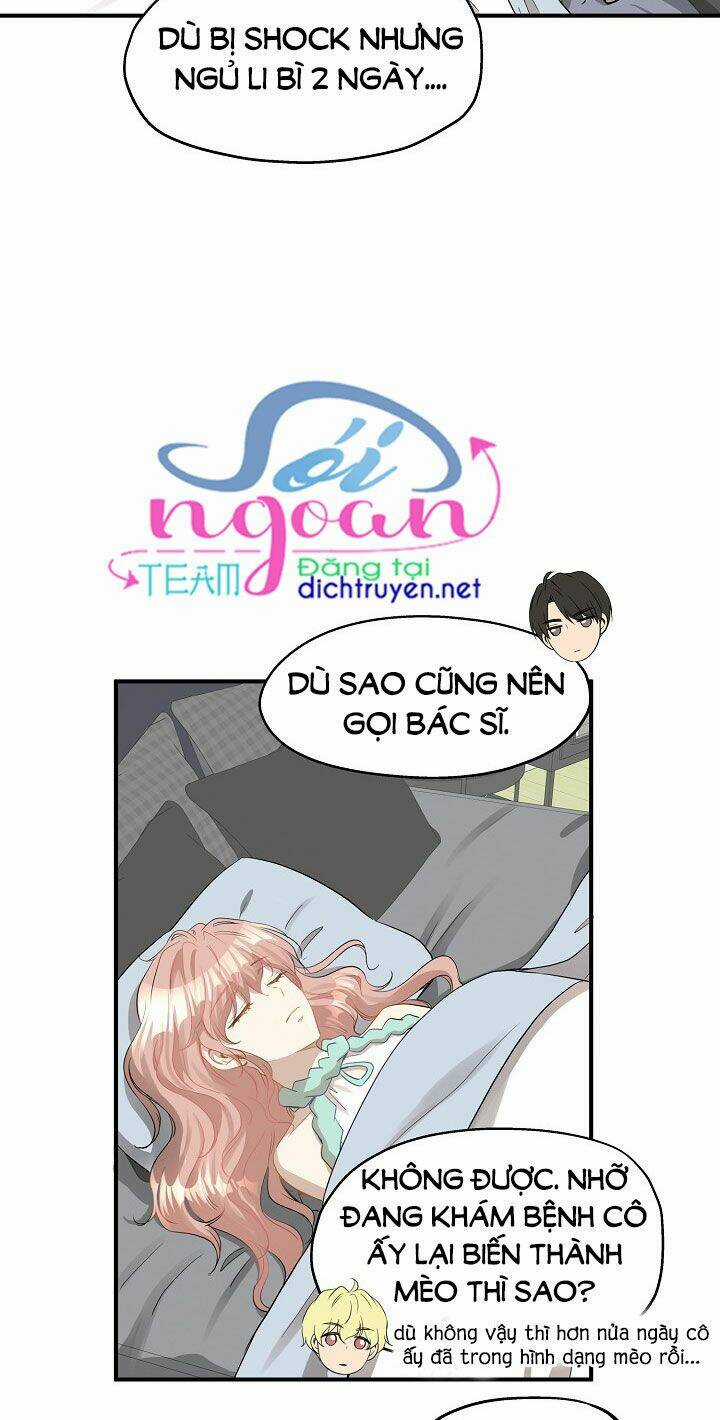 Cuộc Sống Kỳ Thú - Chapter 27 - Trang 3