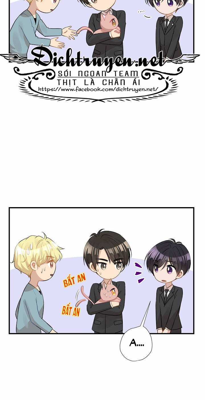 Cuộc Sống Kỳ Thú - Chapter 28 - Trang 12
