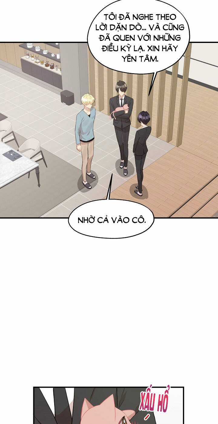 Cuộc Sống Kỳ Thú - Chapter 28 - Trang 14