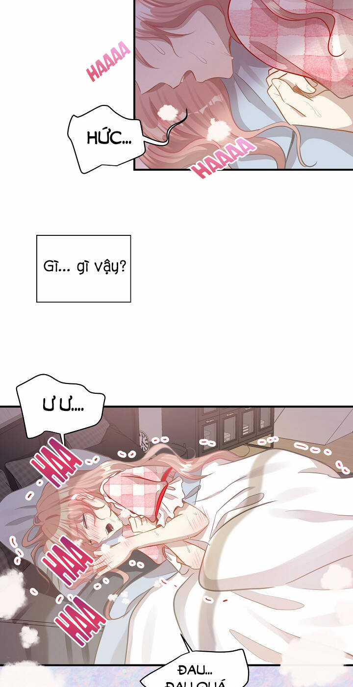 Cuộc Sống Kỳ Thú - Chapter 28 - Trang 17