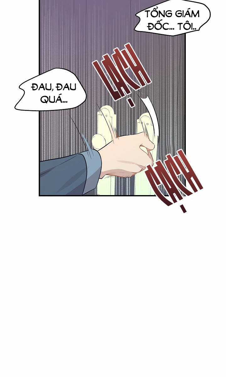 Cuộc Sống Kỳ Thú - Chapter 28 - Trang 42