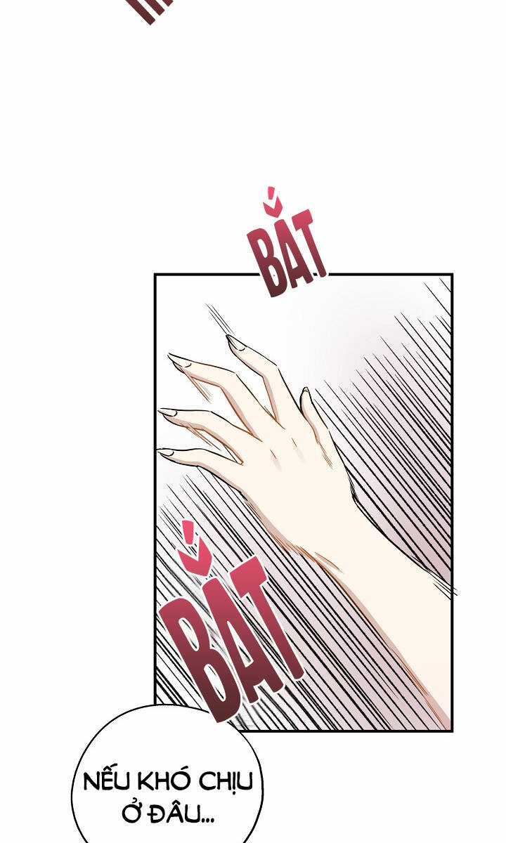 Cuộc Sống Kỳ Thú - Chapter 28 - Trang 52