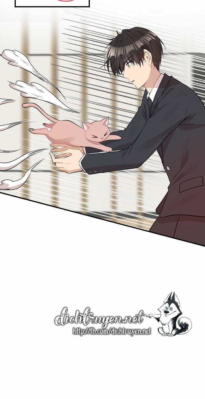 Cuộc Sống Kỳ Thú - Chapter 28 - Trang 10