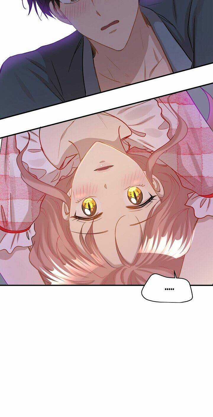 Cuộc Sống Kỳ Thú - Chapter 29 - Trang 12