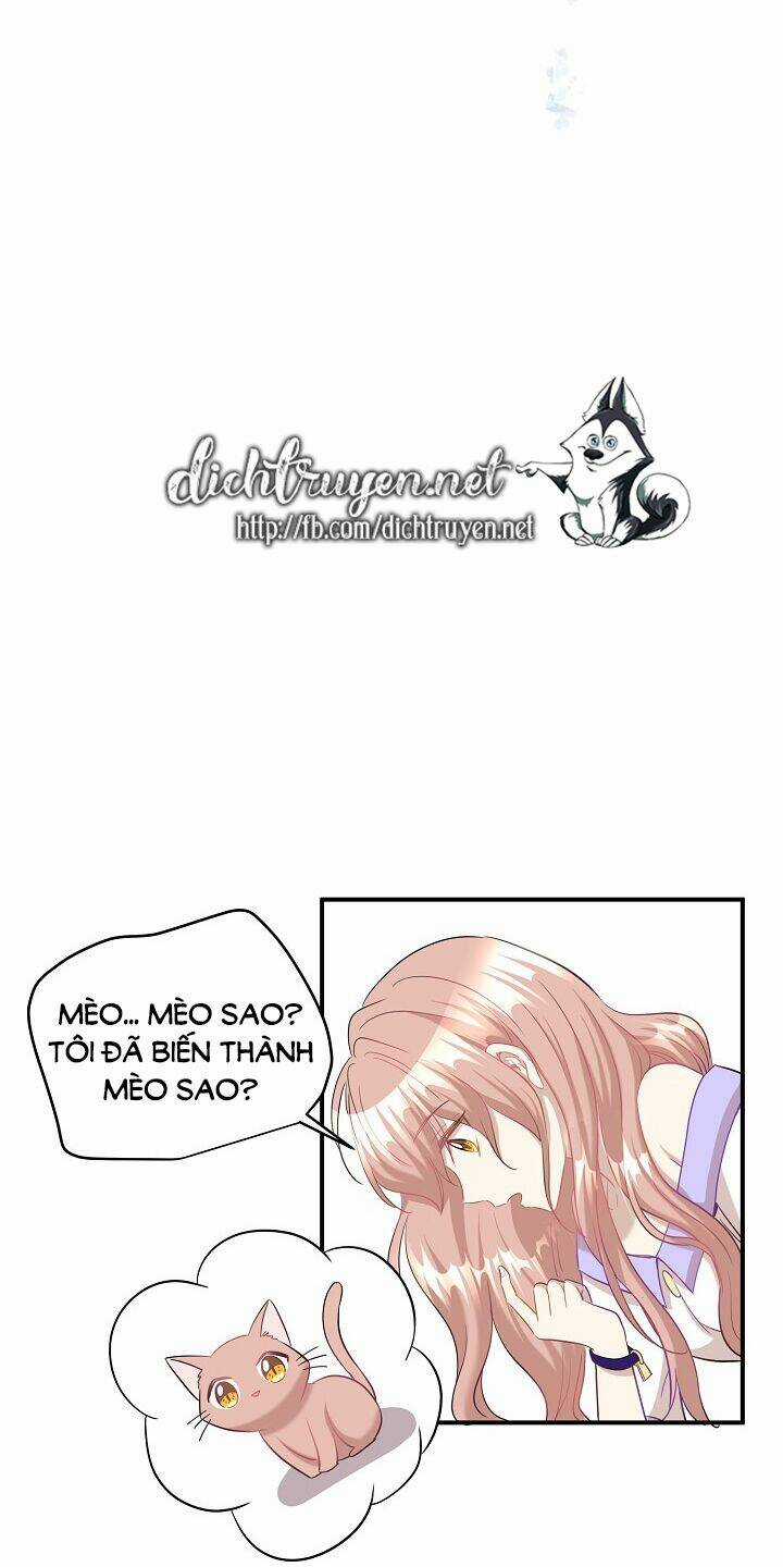 Cuộc Sống Kỳ Thú - Chapter 29 - Trang 58