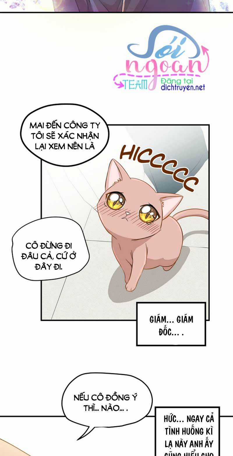 Cuộc Sống Kỳ Thú - Chapter 3 - Trang 12