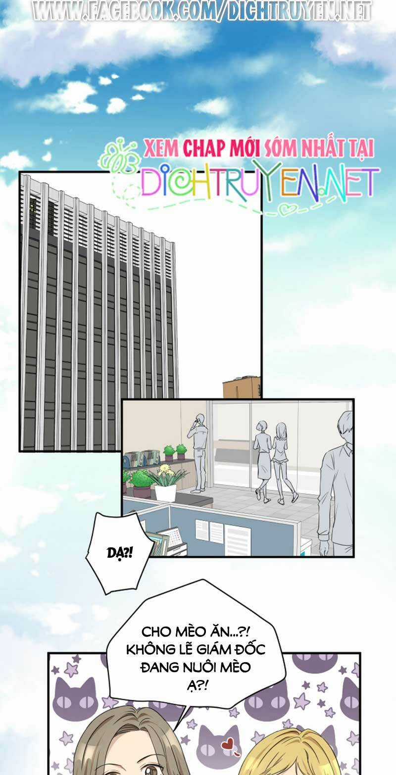 Cuộc Sống Kỳ Thú - Chapter 3 - Trang 15