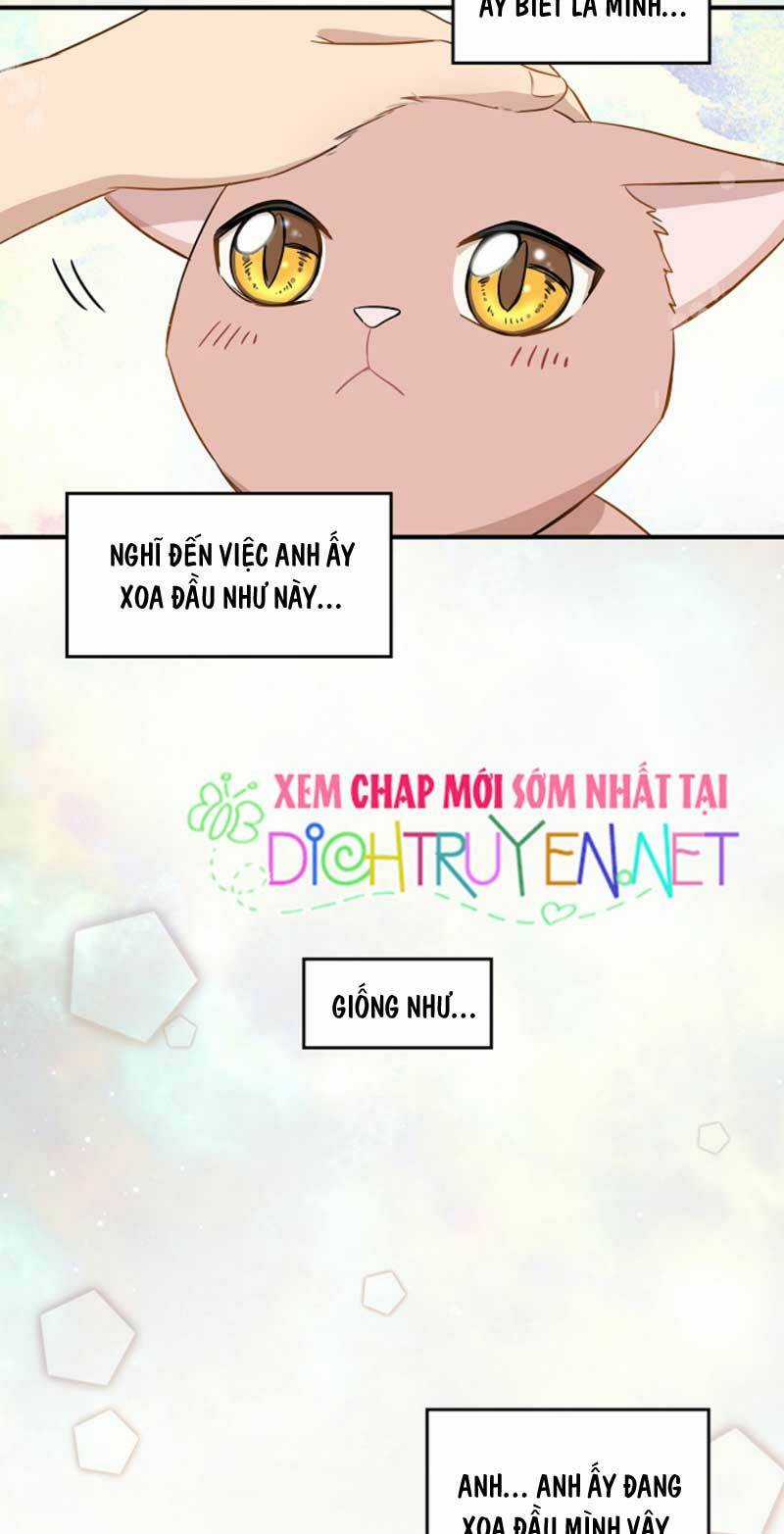 Cuộc Sống Kỳ Thú - Chapter 3 - Trang 3