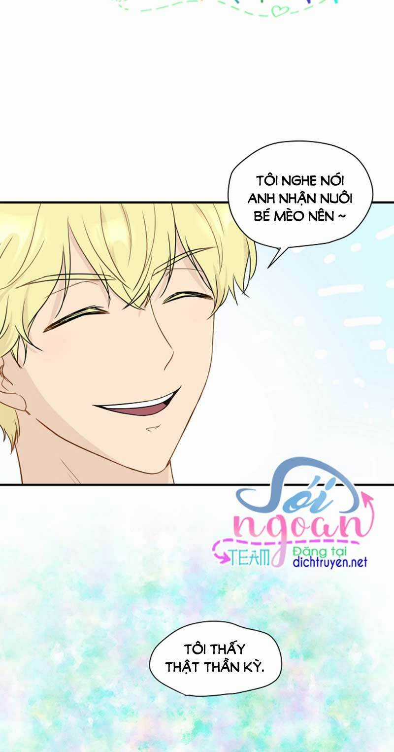 Cuộc Sống Kỳ Thú - Chapter 3 - Trang 47