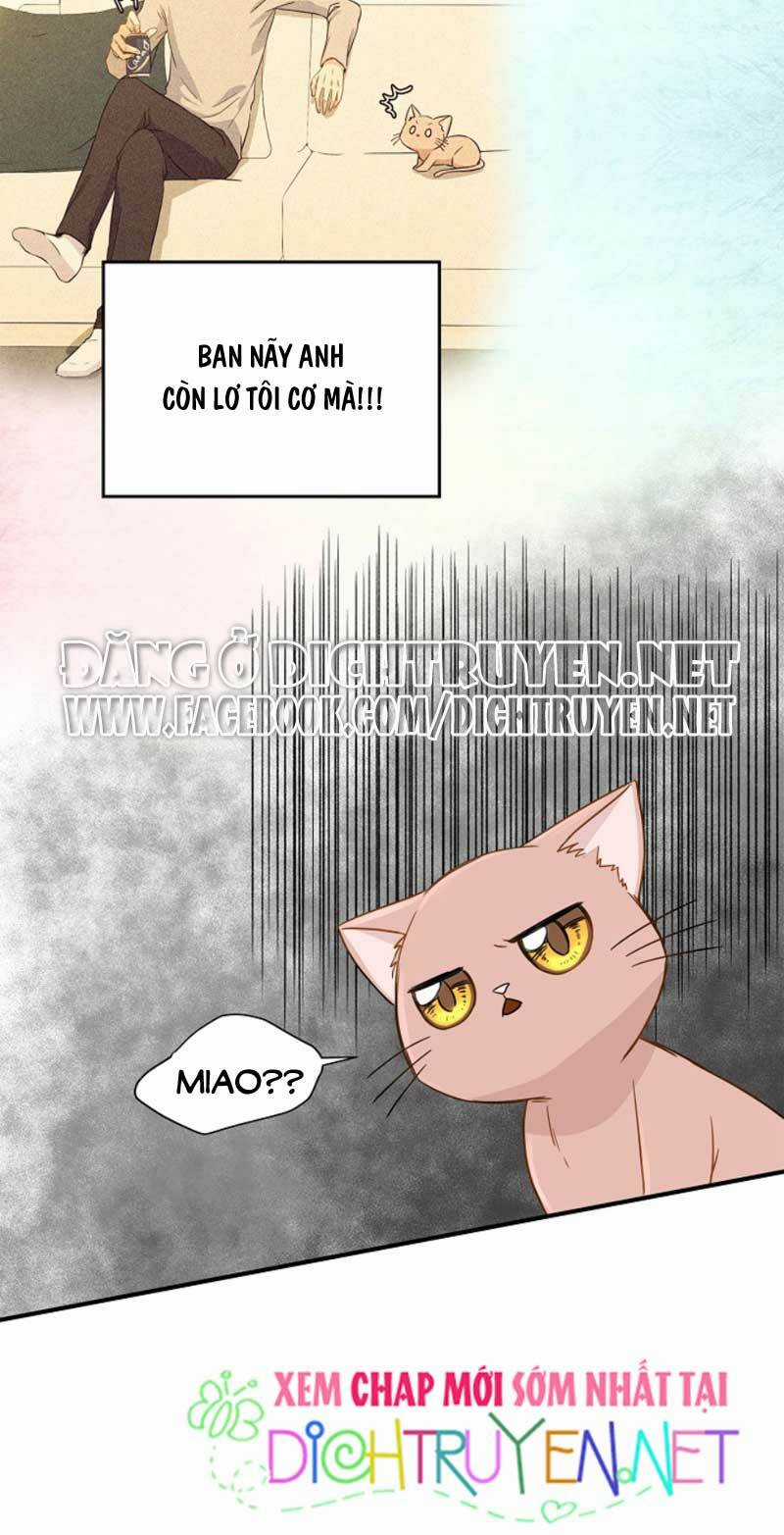 Cuộc Sống Kỳ Thú - Chapter 3 - Trang 7